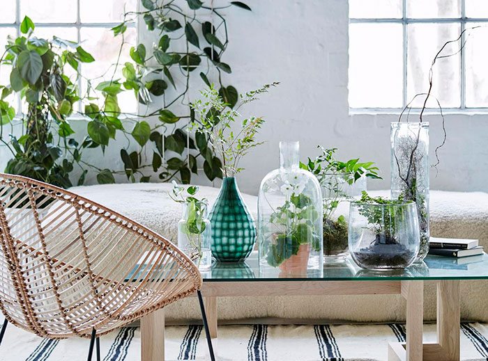 4 Ways House Plants Could Help with Great Health