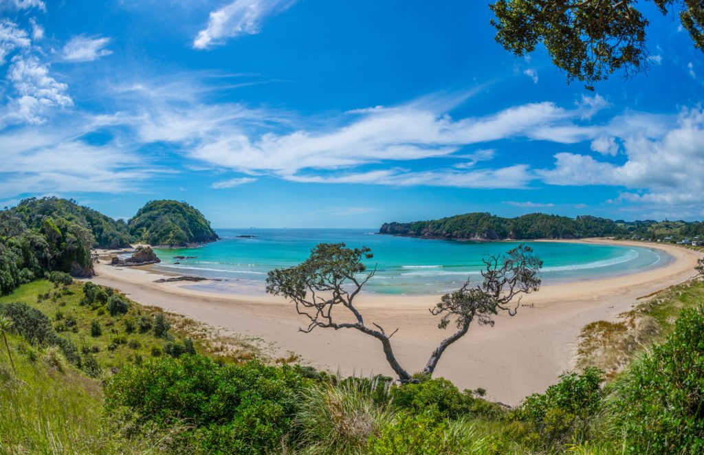 Exploring the beaches of Northland, NZ | MiNDFOOD