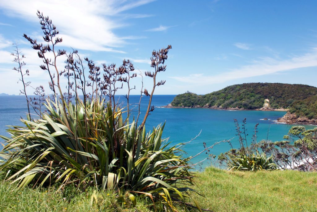 Pataua Beach