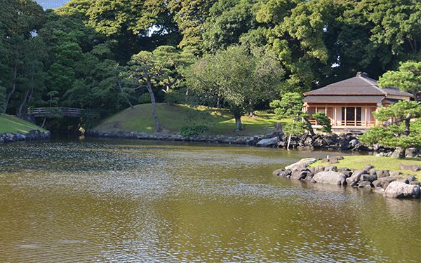 Things to do in Tokyo: Hamarikyu Garden's tea house