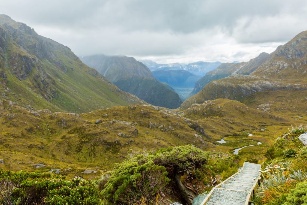 A view from the Routeburn Track