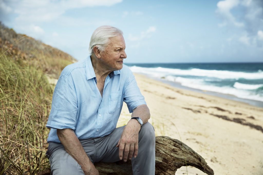 Picture shows: Sir David Attenborough