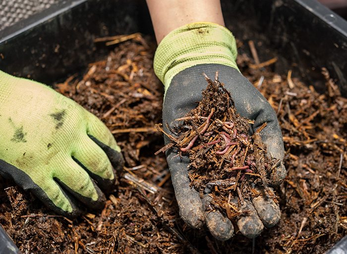 Your Guide to Composting