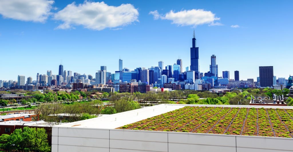 Are Rooftop Gardens The Way Of The Future?