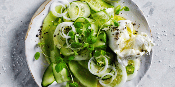 Cucumber & Honeydew Salad with Honey Dressing