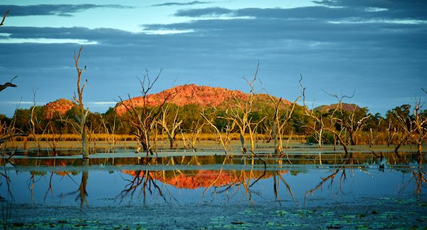 18th Edition of The Ord Valley Muster