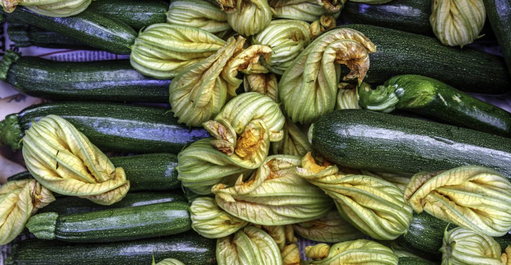 Your guide to zucchini: how to grow, cook and enjoy