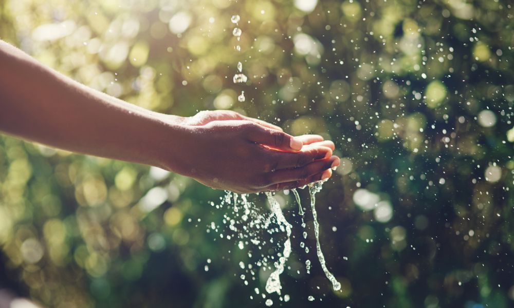 7 ways to save water this World Water Day