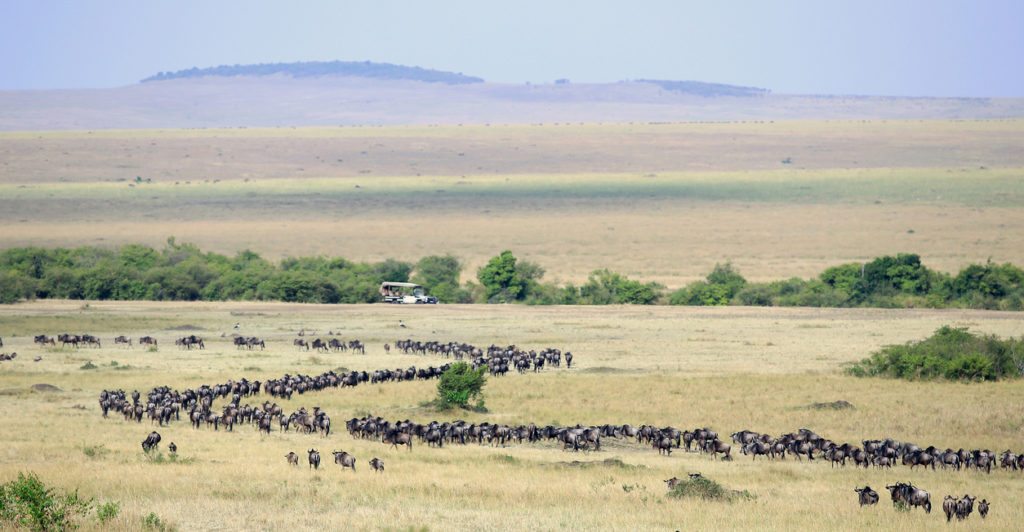 See Tanzania’s Mighty Migration