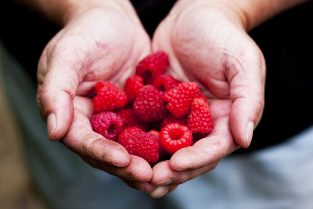 Raspberry health benefits