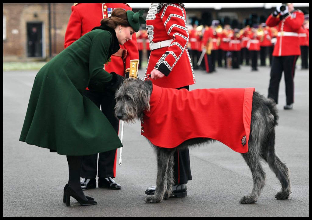 The Duke and Duchess of Cambridge Celebrate St Patrick's Day
