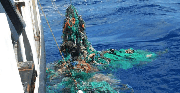 Plastic Pollution In The Great Pacific Garbage Patch ‘Growing Exponentially’