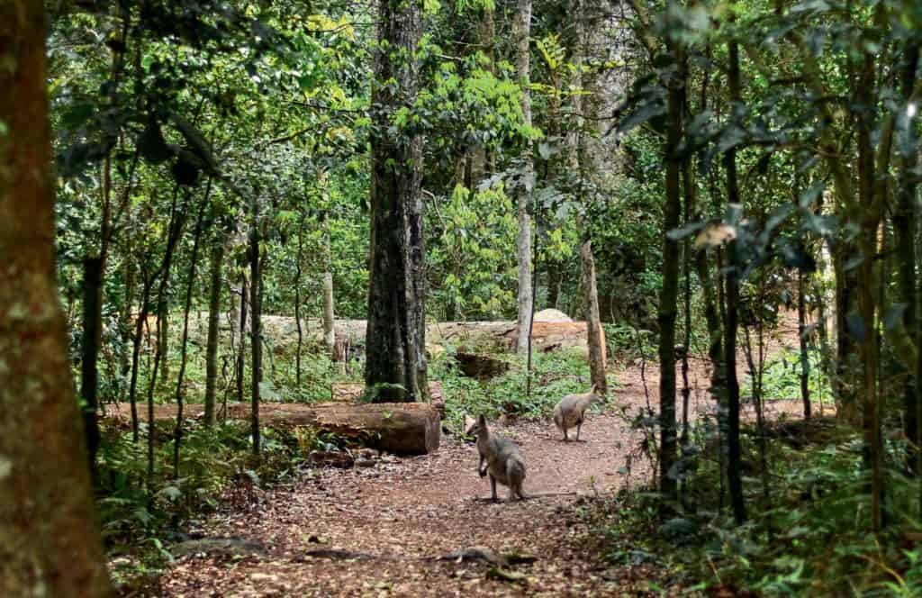 Get Lost in Queensland’s Breathtaking Outback