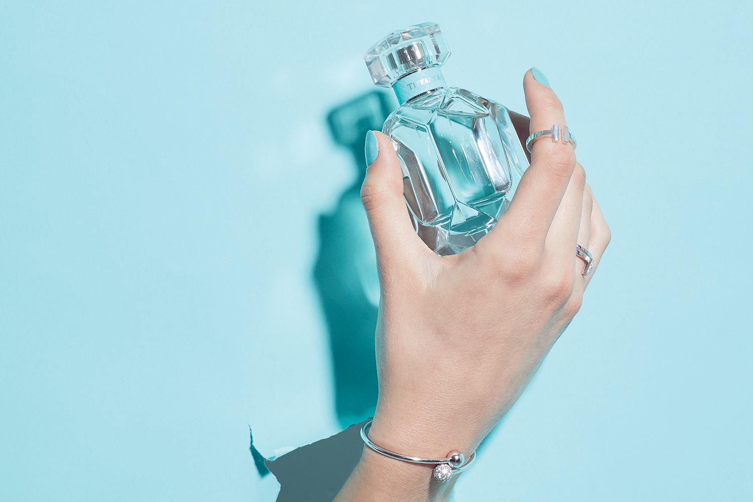 Why The Tiffany & Co Fragrance Should Be On Your Wish List