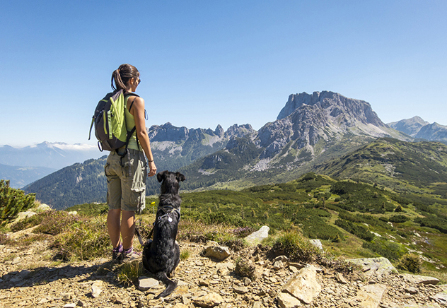 The Number One Reason You Should Take A Hike