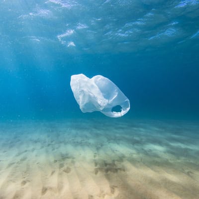 30% Fewer Plastic Bags In The Ocean