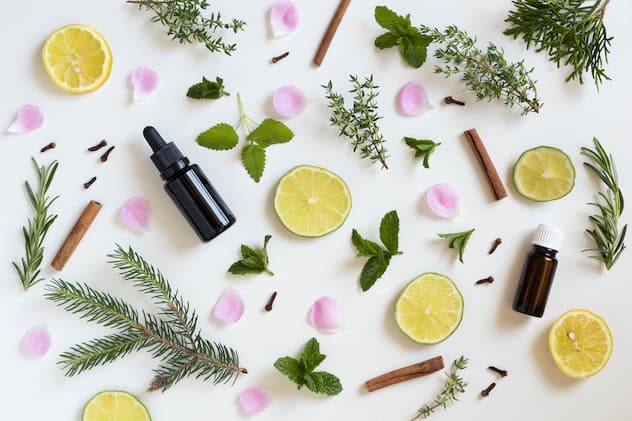 3 natural herbs that will help you get through winter