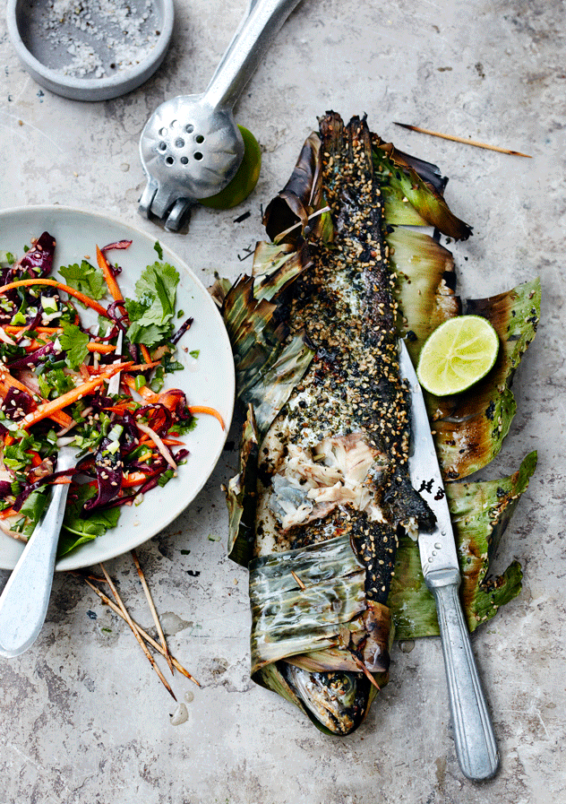 Grilled Trout with Nori Spice Rub and Asian Coleslaw