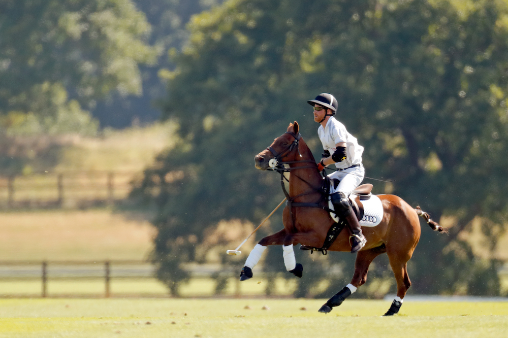 ASCOT, UNITED KINGDOM - JUNE 30: (EMBARGOED FOR PUBLICATION IN UK NEWSPAPERS UNTIL 24 HOURS AFTER CREATE DATE AND TIME) Prince Harry, Duke of Sussex takes part in the Audi Polo Challenge at Coworth Park Polo Club on June 30, 2018 in Ascot, England. (Photo by Max Mumby/Indigo/Getty Images)
