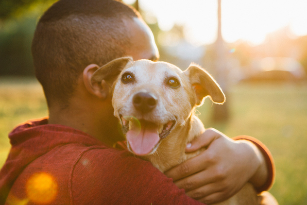 rear view of a young man hug his small Mixed-breed dog, dog looking at camera