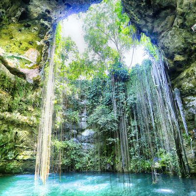 Cenote Ik Kil in the Yucatan of Mexico is a huge limestone hole that has collapsed and sunk, creating a large body of water, now used as a swimming hole.