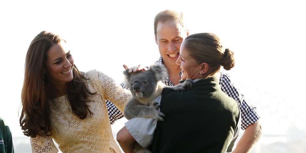 Britain's Prince William and his wife Catherine, Duchess of Cambridge meet Leuca the Koala during a visit to Taronga Zoo in Sydney April 20, 2014. REUTERS/Phil Noble