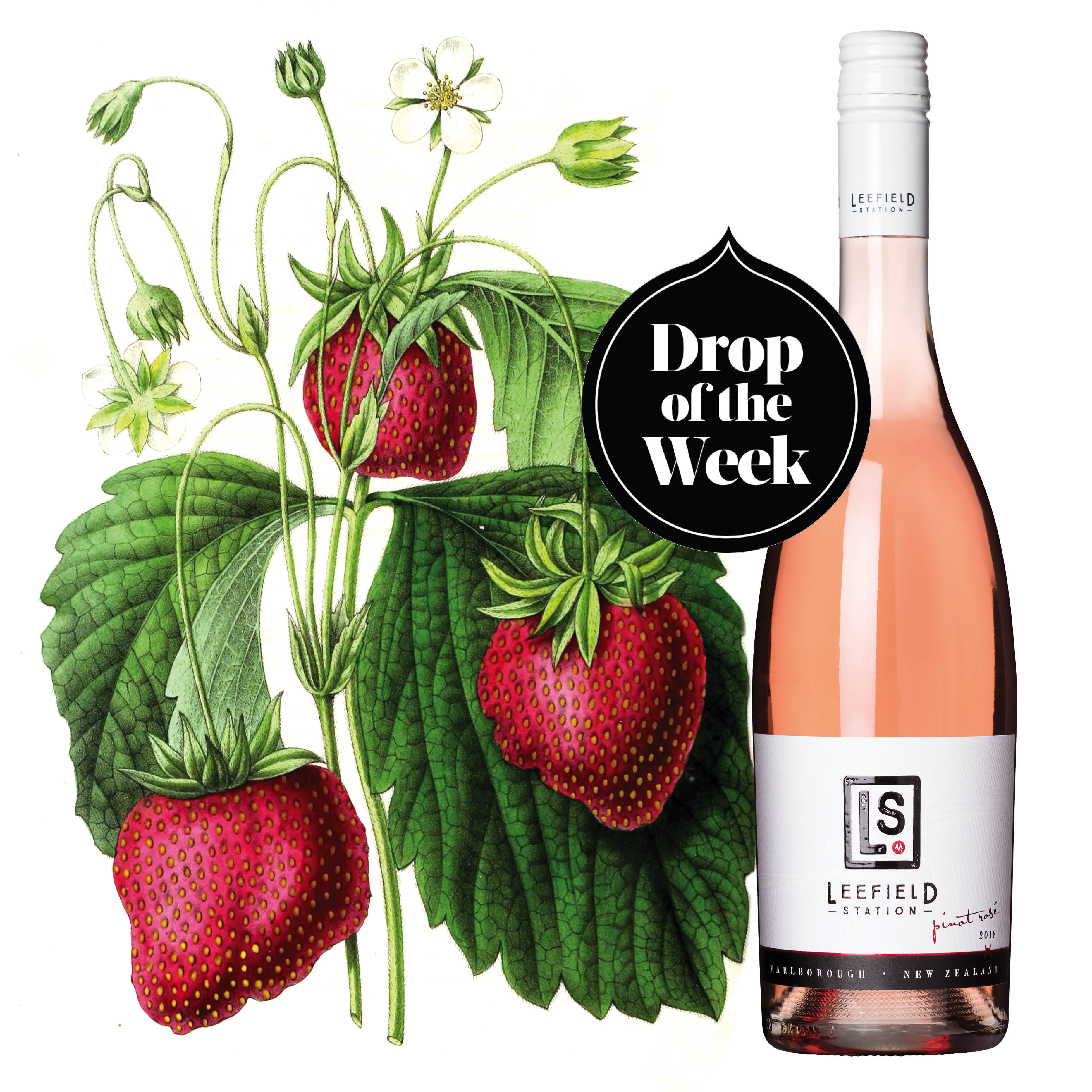 Drop of the Week: Leefield Station Pinot Rose 2018