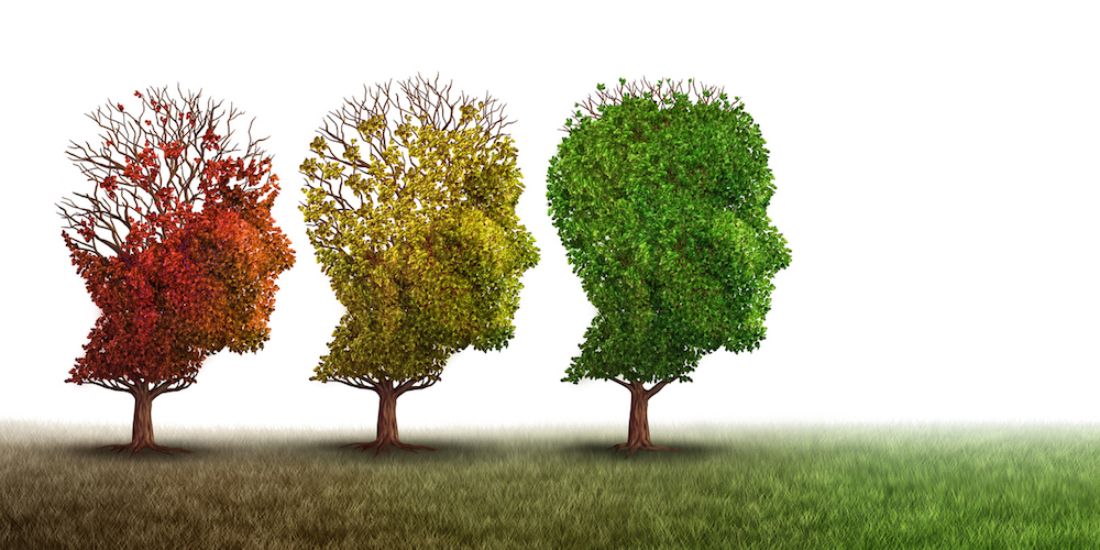 Dementia and mental health recovery treatment and Alzheimer brain memory disease therapy concept as old trees recovering as a neurology or psychology and psychiatry cure metaphor with 3D illustration elements on a white background. (Dementia and menta