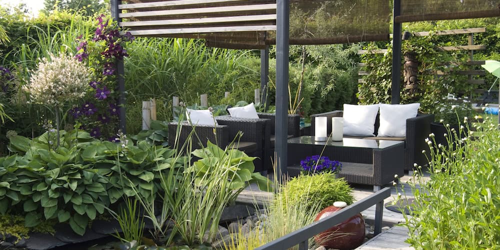 A modern furnished patio and pergola with a small pond, water lilys, hostas and Clematis