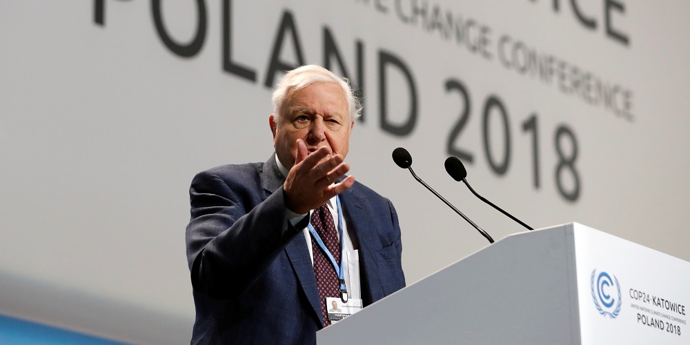 World renowned naturalist Sir David Attenborough delivers the Peoples Seat address during the opening of COP24 UN Climate Change Conference 2018 in Katowice, Poland December 3, 2018. REUTERS/Kacper Pempel - RC1B2DB528E0