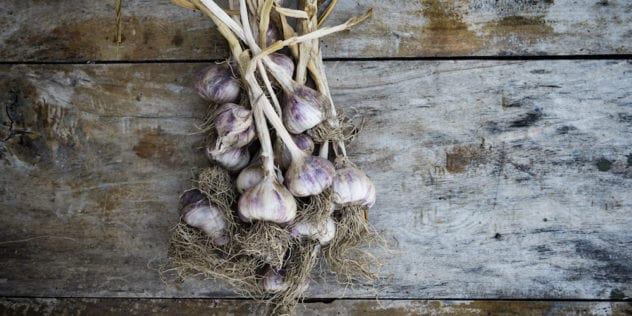 Along with onions, potatoes and other root vegetables, the fridge isn't the place to store garlic.