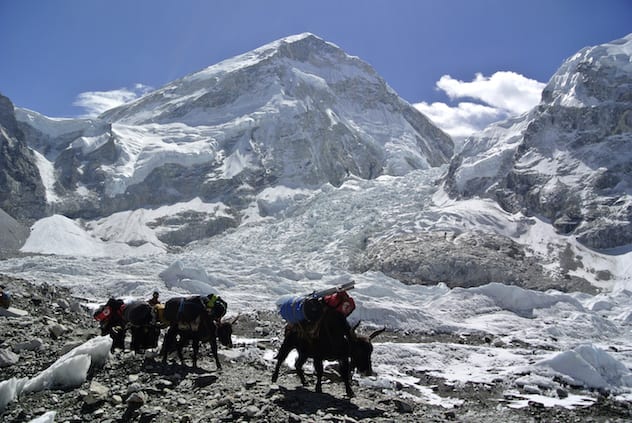 Photo Credit: REUTERS/Phurba Tenjing Sherpa