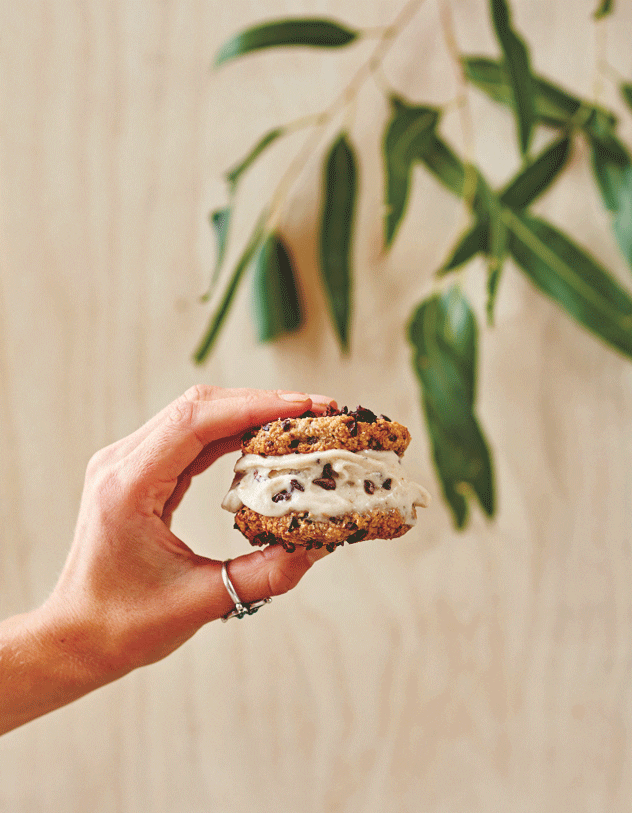 Mint Choc Chip ‘Ice Cream’ Sandwich