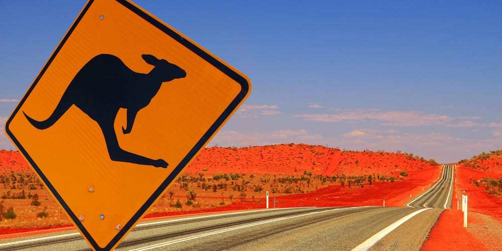 Kangaroo sign in remote outback of Australia