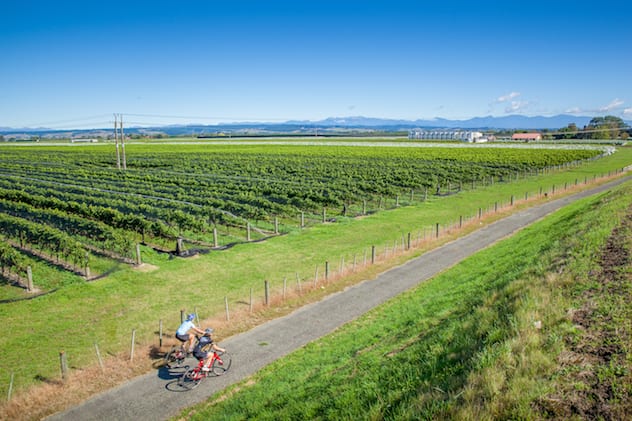 Cycle through Nelson's many wineries on Tasman's Great Taste Trail. Image: Supplied