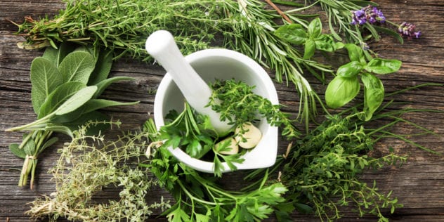 Some herbs like coriander will thrive just fine in the fridge, but keep parsley and basil out.