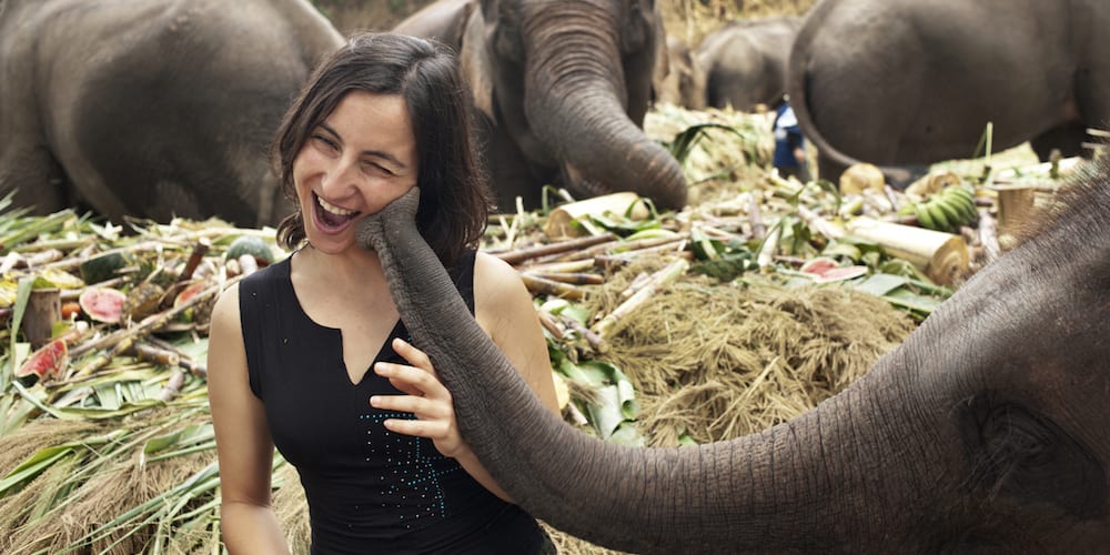 European woman tourist enjoys being with elepants on National Elephant Day in Thailand where they are treated to a huge feast. (European woman tourist enjoys being with elepants on National Elephant Day in Thailand where they are treated to a huge fea