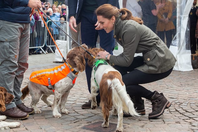 Britain's Catherine, Princess of Wales, pets dogs as she visits the market, for a celebration to recognise the contribution of individuals and local organisations in supporting communities and families across Cumbria, in town of Keswick, Britain June 11, 2019. REUTERS