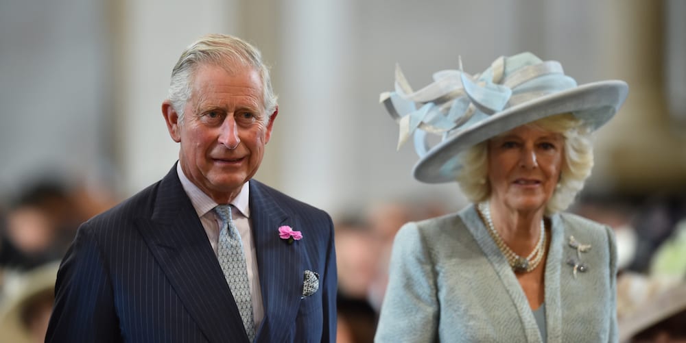 Prince Charles New Zealand OG