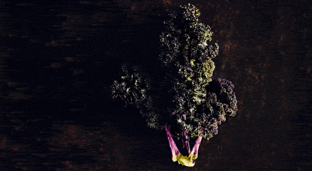 It may be a hipster brunch favourite, but kale is off the menu as far as bloating is concerned.