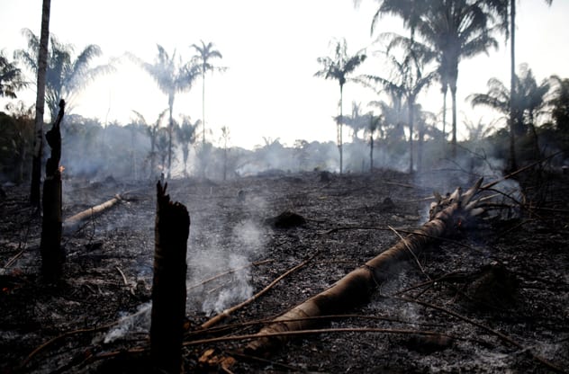 Inpe says it's observed almost 75,000 fires across the Amazon rainforest already this year. REUTERS