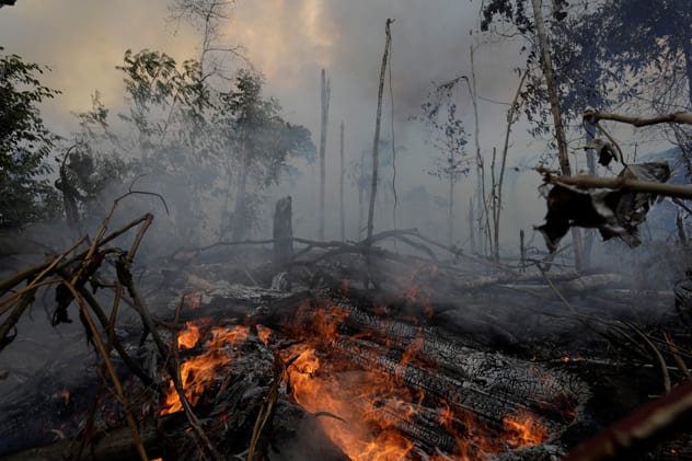 An area roughly the size of a football pitch is lost every minute to fires in the Amazon. REUTERS