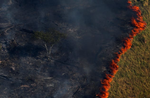 A fire from 2017 illustrates the scale of destruction the blazes can inflict. REUTERS