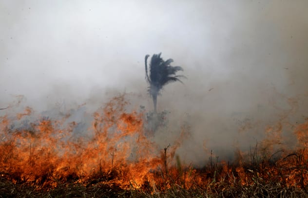 With the dry season yet to finish, experts are worried more fires are yet to come. REUTERS