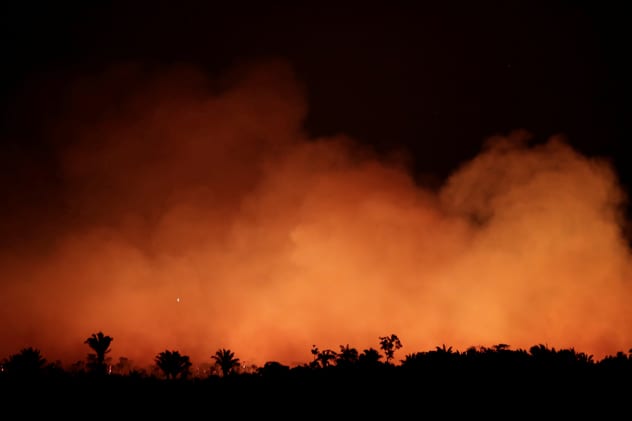 The wildfires are already the worst since records began. REUTERS