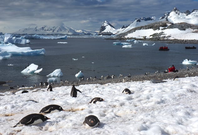 There are opportunities aplenty to go ashore and be greeted by curious penguins. PAMELA WADE