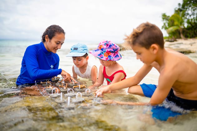 Many of the resorts will allow you to take part in their ecology initiatives, such as planting new coral nurseries.