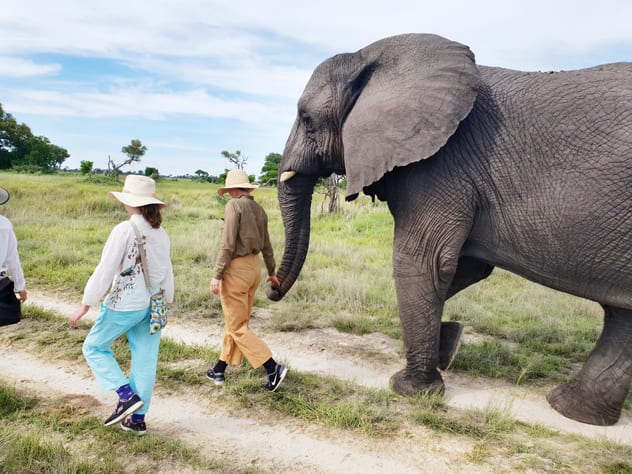 Meeting elephants was a real highlight of the trip, especially for the girls. KARLIEN GELDENHUYS