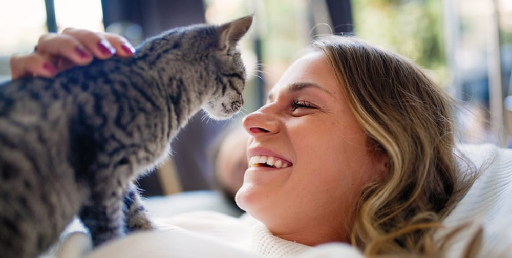 Special bond: New research says cats may like us more than we think. ISTOCK