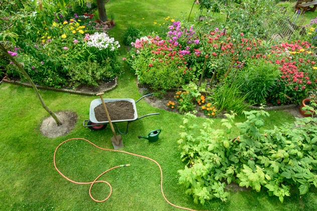 Lush summer lawns are made in spring. ISTOCK